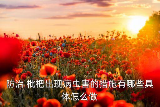 枇杷要打什么農藥,枇杷打什么農藥又大又甜
