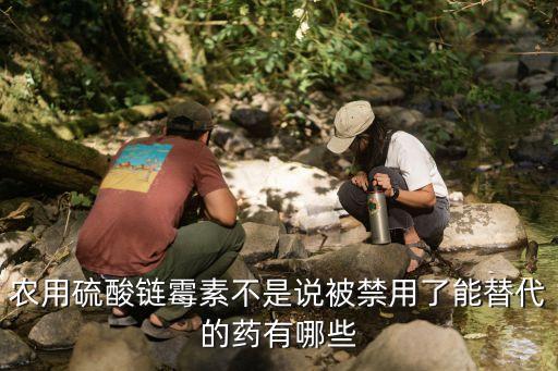 農(nóng)藥用什么替代品,1605農(nóng)藥替代品