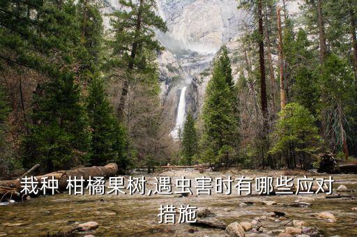 栽種 柑橘果樹,遇蟲害時有哪些應(yīng)對措施