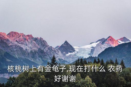 核桃樹上有金龜子,現在打什么 農藥好謝謝