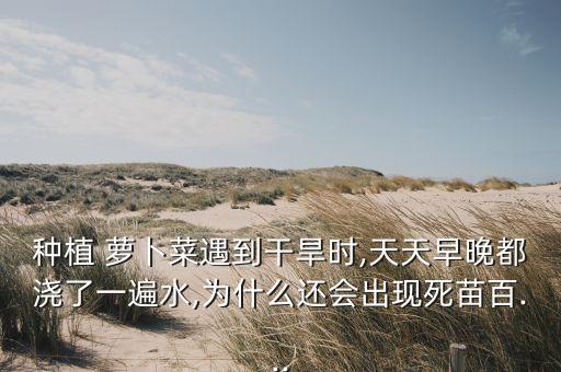 種植 蘿卜菜遇到干旱時,天天早晚都澆了一遍水,為什么還會出現(xiàn)死苗百...
