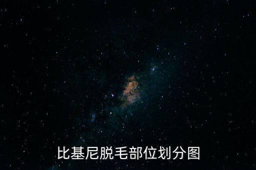 比基尼脫毛部位劃分圖