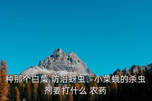 大白菜可以用什么農(nóng)藥殺菌