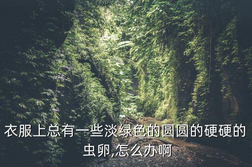 衣服上總有一些淡綠色的圓圓的硬硬的 蟲卵,怎么辦啊