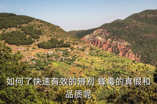 如何了快速有效的辨別 蜂毒的真假和品質呢