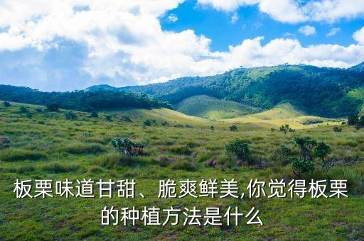 板粟打什么農(nóng)藥才好吃呀