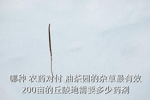 油茶樹怕什么農藥,獾子怕什么農藥