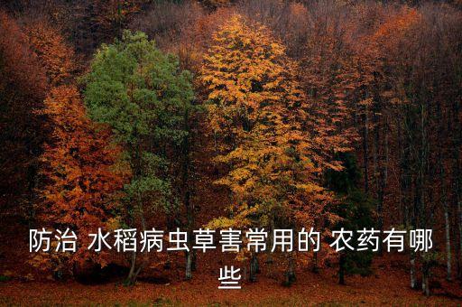 水稻放什么農藥,毒死水稻最好的農藥