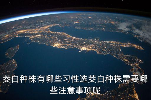 茭白種株有哪些習性選茭白種株需要哪些注意事項呢