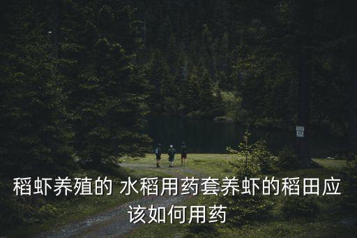 稻蝦養殖的 水稻用藥套養蝦的稻田應該如何用藥