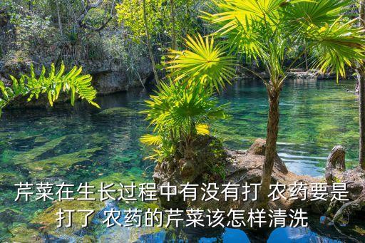 什么農(nóng)藥能控制植物生長,秋季什么植物需要用農(nóng)藥