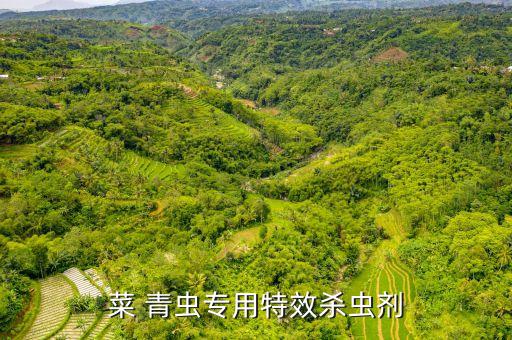 什么農(nóng)藥治菜青蟲,治菜青蟲不用農(nóng)藥的四種方法