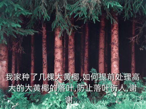 什么農藥可以毒死椰子樹,有什么農藥可以毒死椰子樹