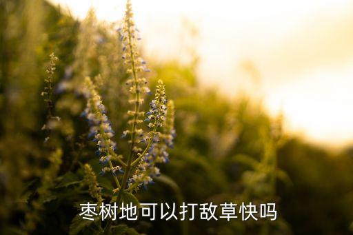 打山棗樹用什么農(nóng)藥