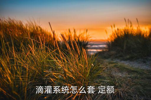 滴灌系統怎么套 定額