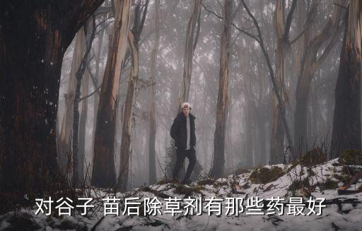 對谷子 苗后除草劑有那些藥最好