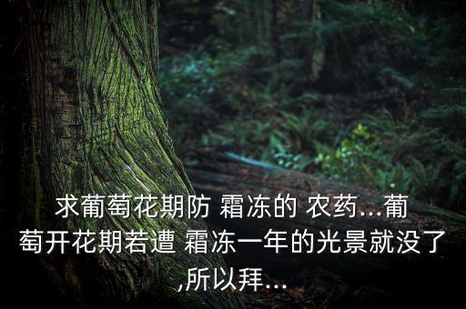 求葡萄花期防 霜凍的 農(nóng)藥...葡萄開(kāi)花期若遭 霜凍一年的光景就沒(méi)了,所以拜...