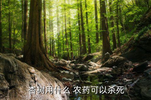 給杏樹打什么農藥好呢,杏樹用什么農藥