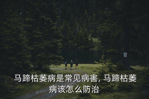  馬蹄枯萎病是常見病害, 馬蹄枯萎病該怎么防治