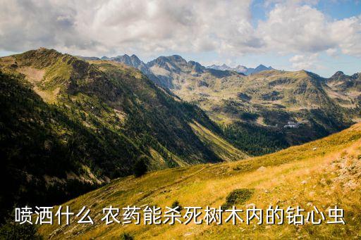 什么農藥制死蟲子,打了農藥蟲子一般多長時間死