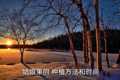 姑娘果的 種植方法和時間