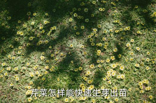 芹菜種子用什么農藥發芽快