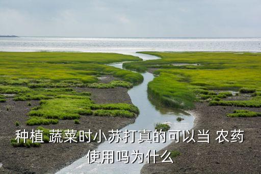 蔬菜黑小兒噴施什么農藥,用什么醋噴施蔬菜最好