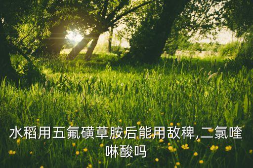 水稻用五氟磺草胺后能用敵稗,二氯喹啉酸嗎