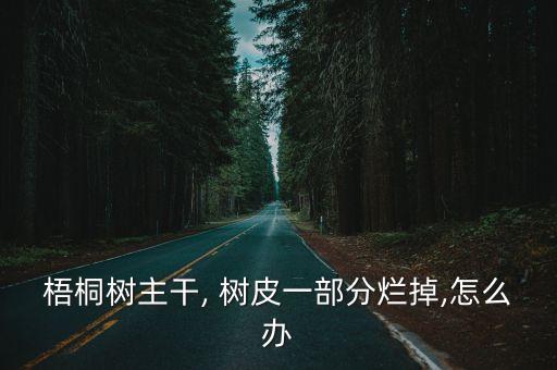 梧桐樹主干, 樹皮一部分爛掉,怎么辦