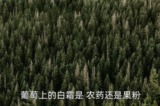 ,葡萄皮上都有些什么農藥