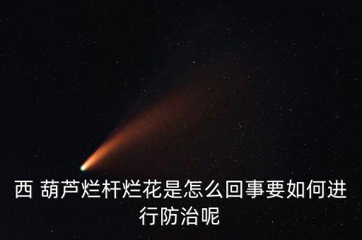 葫蘆爛臍用什么農藥,葫蘆用什么農藥好