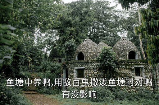 魚塘中養鴨,用敵百蟲撒潑魚塘時對鴨有沒影響