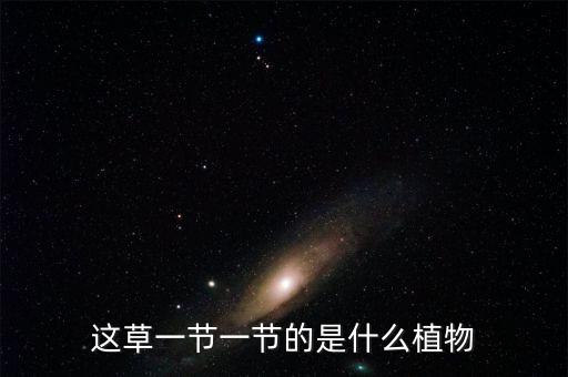 這草一節(jié)一節(jié)的是什么植物