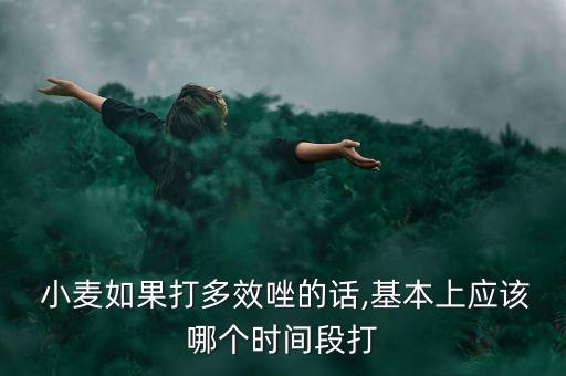  小麥如果打多效唑的話,基本上應該哪個時間段打