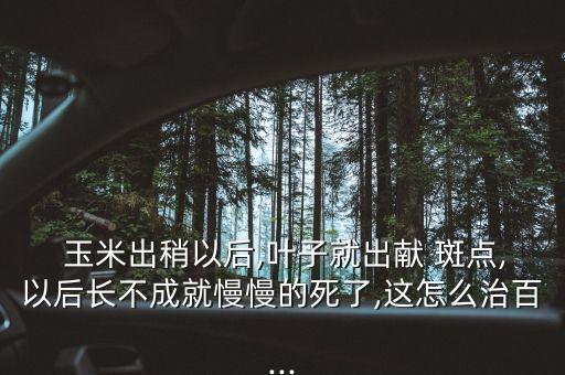 玉米上的斑點(diǎn)用什么農(nóng)藥,玉米一般打什么農(nóng)藥