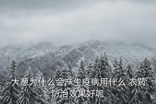 大蔥為什么會(huì)產(chǎn)生疫病用什么 農(nóng)藥防治效果好呢