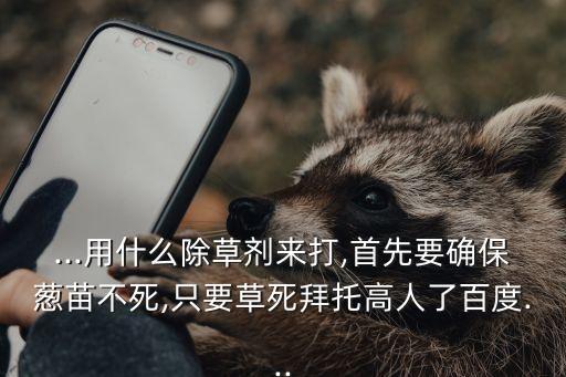 ...用什么除草劑來打,首先要確保蔥苗不死,只要草死拜托高人了百度...