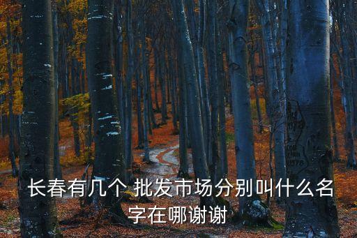 長春有幾個 批發(fā)市場分別叫什么名字在哪謝謝