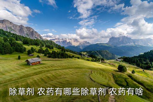 大千金子打什么農(nóng)藥