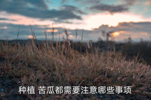 種植 苦瓜都需要注意哪些事項