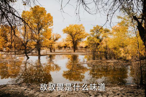 敵敵畏是什么味道