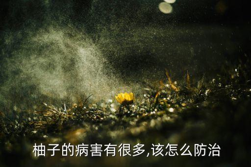 農藥高效氯氰菊酯治什么蟲,柚子用什么農藥治蟲