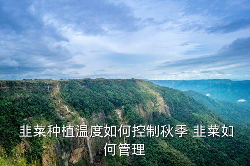 韭菜種植溫度如何控制秋季 韭菜如何管理