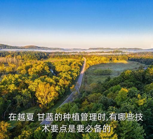 甘藍苗期初植用什么農藥