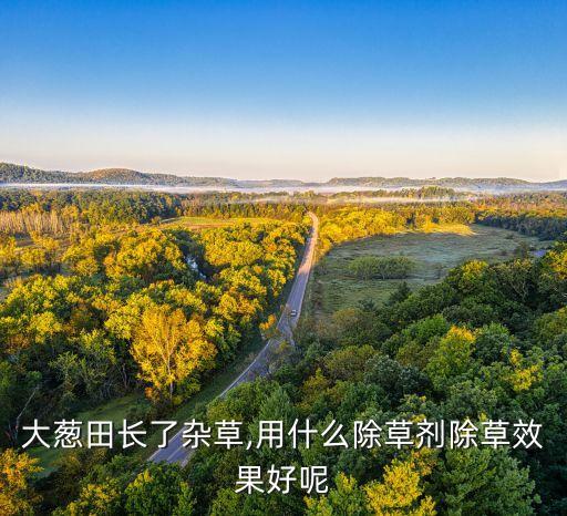 大蔥田長了雜草,用什么除草劑除草效果好呢