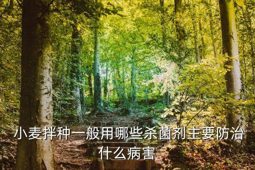 小麥拌種一般用哪些殺菌劑主要防治什么病害