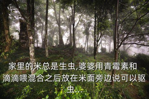 滴滴喂農藥的成分是什么,玉米伴侶農藥成分是什么