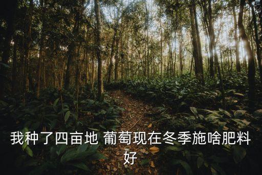 葡萄冬埋用什么農藥好,葡萄用什么泡可以去農藥嗎