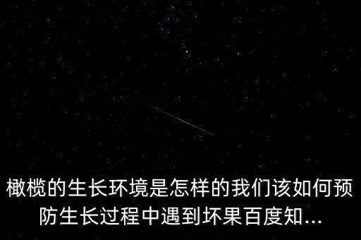 橄欖的生長環境是怎樣的我們該如何預防生長過程中遇到壞果百度知...