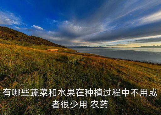 有哪些蔬菜和水果在種植過程中不用或者很少用 農藥